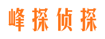 江阳市私家侦探